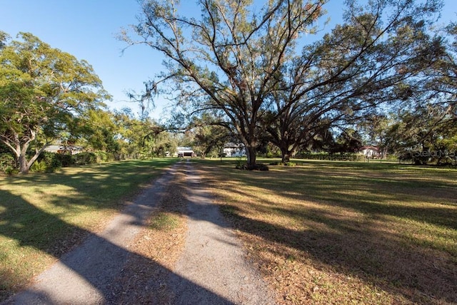 11008 Browning Rd, Lithia, FL 33547 - view of dirt / gravel road
