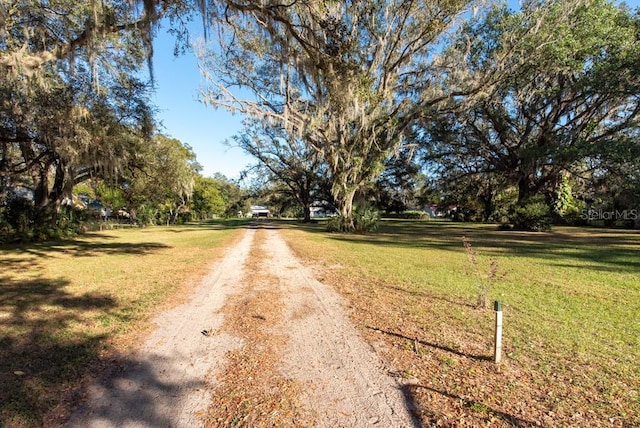 11008 Browning Rd, Lithia, FL 33547 - view of dirt / gravel driveway