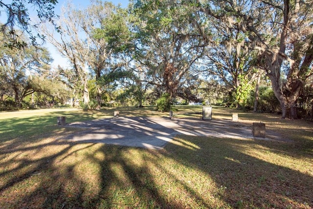 11008 Browning Rd, Lithia, FL 33547 - view of community featuring a lawn
