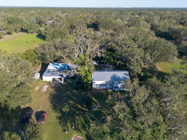 11008 Browning Rd, Lithia, FL 33547 - view of property location with a heavily wooded area