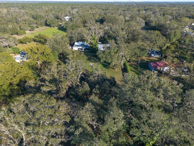 11008 Browning Rd, Lithia, FL 33547 - aerial view of property and surrounding area with a heavily wooded area