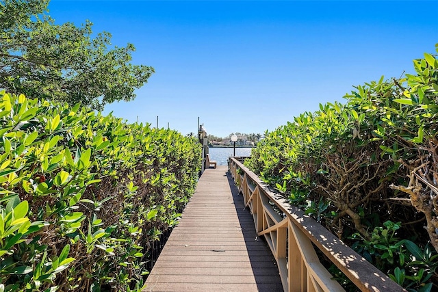 dock area with a water view