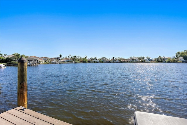 dock area with a water view