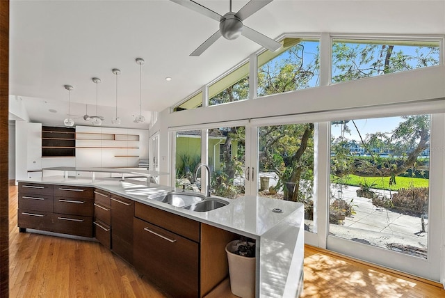 kitchen with dark brown cabinets, light hardwood / wood-style flooring, plenty of natural light, and sink