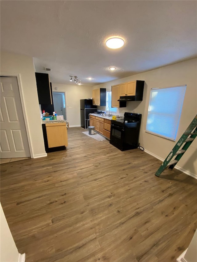 kitchen featuring sink, light brown cabinets, black appliances, and hardwood / wood-style flooring