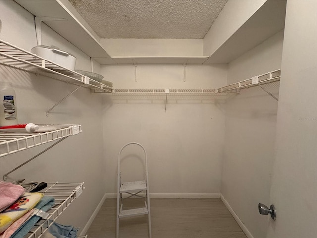 spacious closet featuring hardwood / wood-style floors