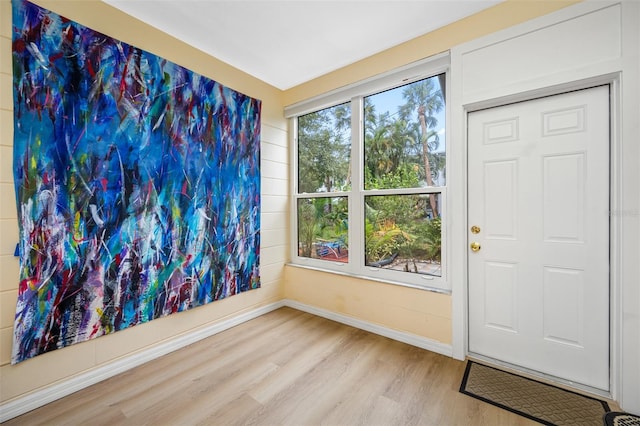 entrance foyer with light hardwood / wood-style flooring