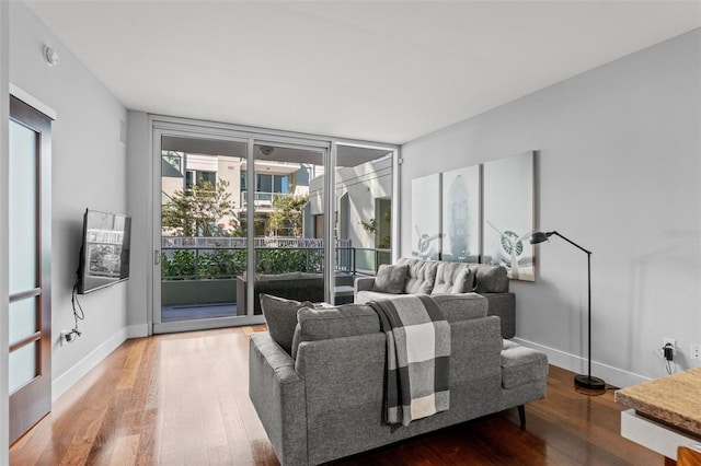 living room featuring hardwood / wood-style floors