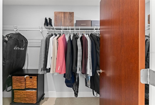 view of walk in closet