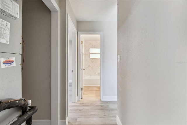 corridor featuring light hardwood / wood-style flooring