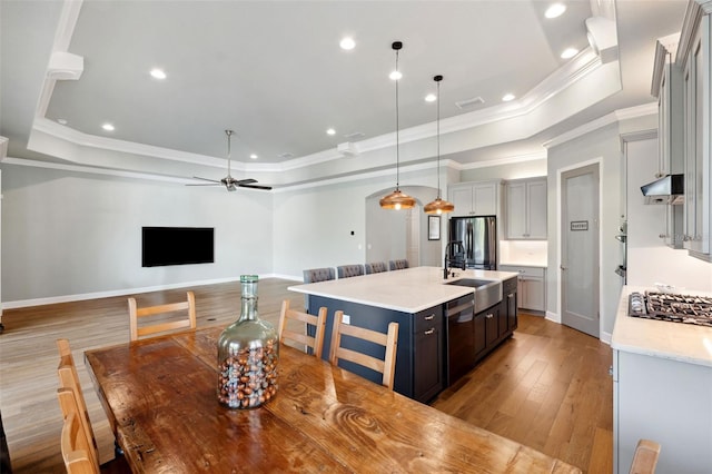 kitchen with stainless steel appliances, a raised ceiling, an island with sink, and hanging light fixtures