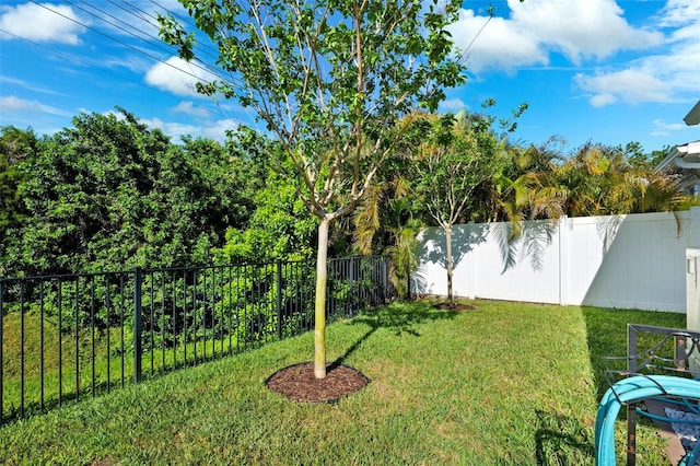 34 Concord Dr, Dunedin, FL 34698 - view of yard