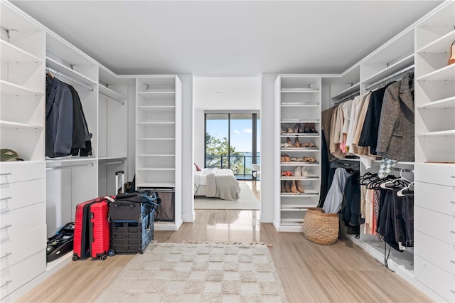 walk in closet featuring light hardwood / wood-style flooring