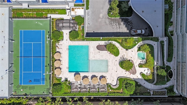 2912 W Santiago St Unit 404, Tampa, FL 33629 - drone / aerial view of a pool