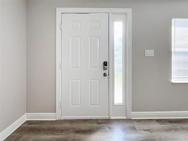 foyer entrance with wood-type flooring