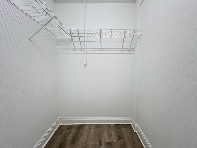 spacious closet with hardwood / wood-style flooring