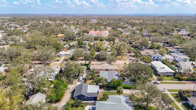 bird's eye view