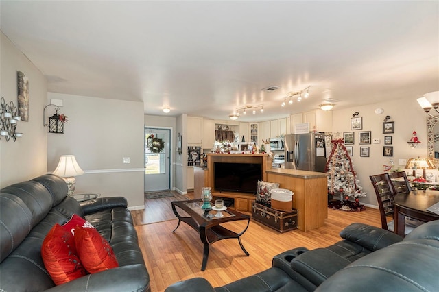 living room with rail lighting and light hardwood / wood-style floors