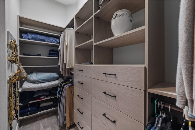 spacious closet with carpet floors