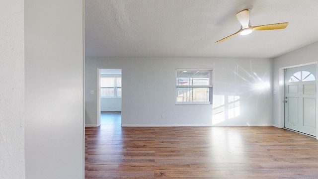 entrance foyer featuring a wealth of natural light, ceiling fan, and wood-type flooring