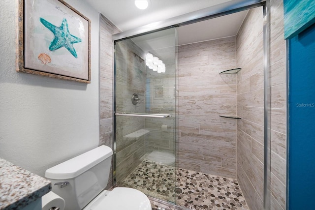 1591 Gulf Blvd Unit 504S, Clearwater Beach, FL 33767 - bathroom with toilet, a shower stall, and vanity