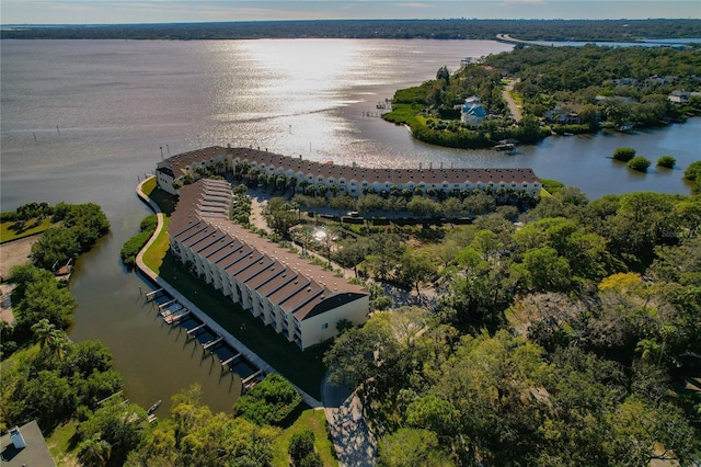 bird's eye view with a water view