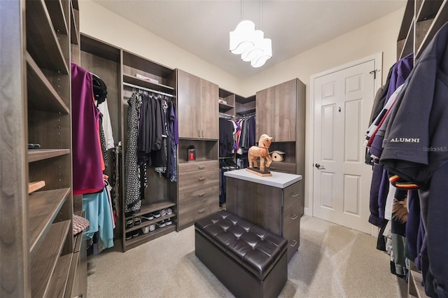 spacious closet with light carpet