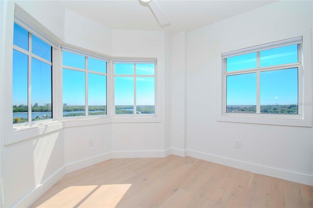 12077 Gandy Blvd N Unit 374, Saint Petersburg, FL 33702 - photo 14