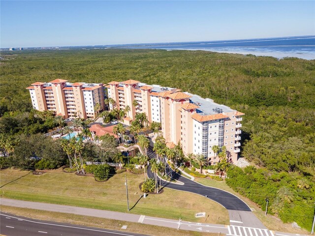 12077 Gandy Blvd N Unit 374, Saint Petersburg, FL 33702 - photo 43