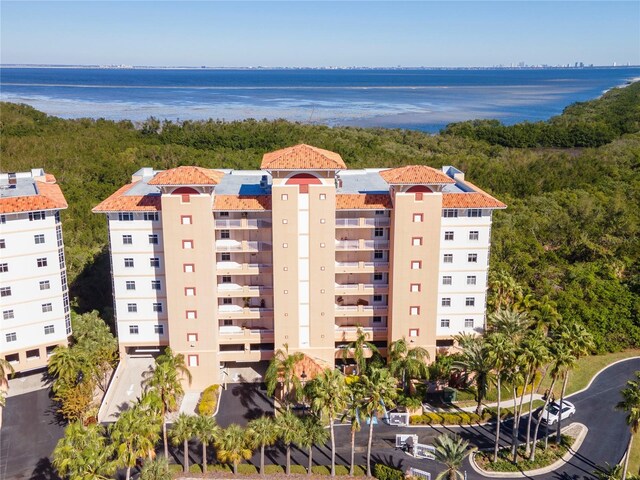 12077 Gandy Blvd N Unit 374, Saint Petersburg, FL 33702 - photo 30