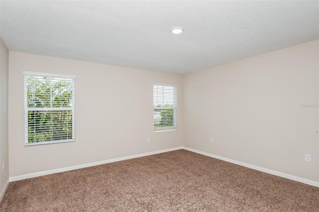 spare room with carpet floors and a textured ceiling