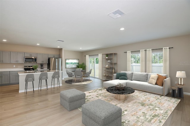 living room featuring light hardwood / wood-style floors