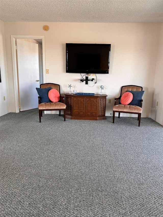 living area featuring carpet flooring and a textured ceiling