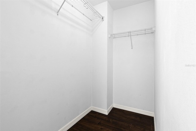 spacious closet with dark wood-type flooring