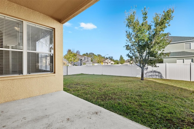 view of yard featuring a patio area