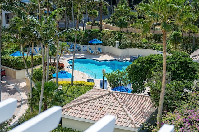 view of swimming pool with a patio area