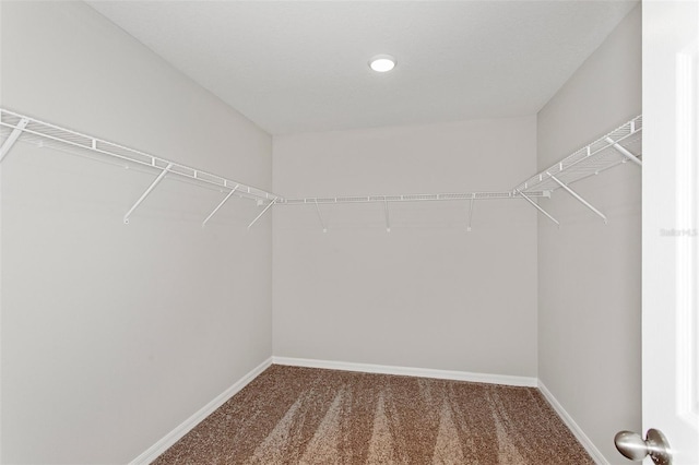 spacious closet featuring carpet flooring