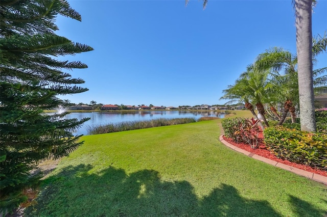 view of yard with a water view