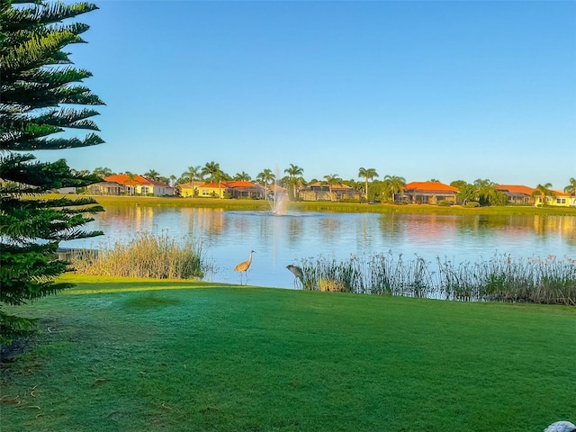 property view of water