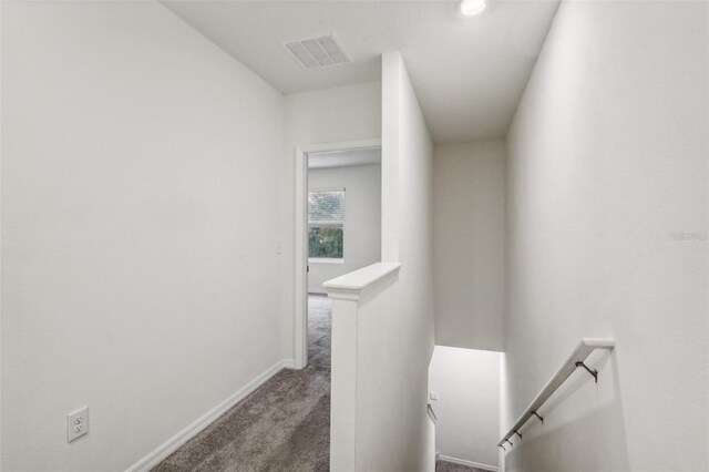 staircase featuring carpet flooring