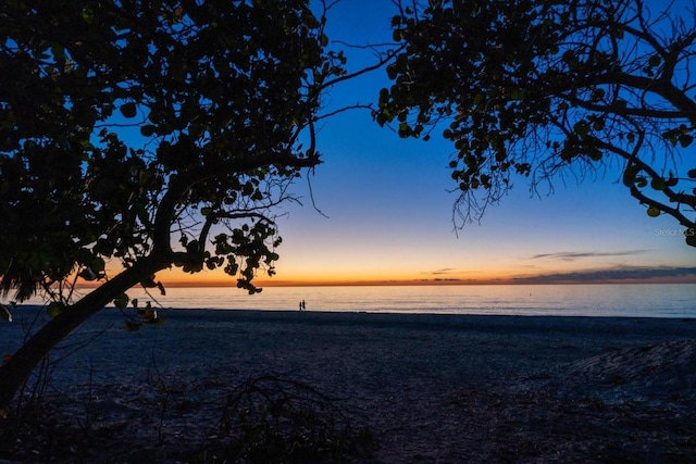 property view of water