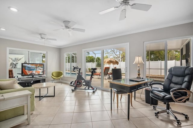 interior space with crown molding and a wealth of natural light