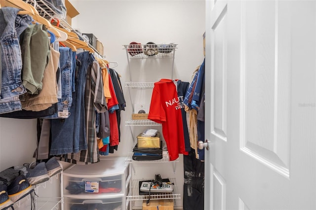 view of spacious closet