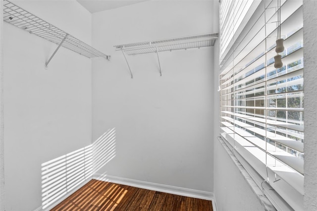 spacious closet featuring wood-type flooring