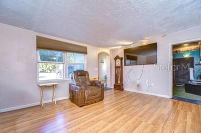 living area with a textured ceiling and light wood-type flooring