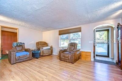 living area featuring a textured ceiling, a wealth of natural light, and light hardwood / wood-style flooring