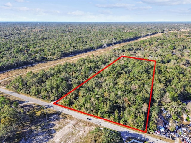 15577 Little Ranch Rd, Spring Hill, FL 34610 - view of property location with a heavily wooded area and property parcel outlined
