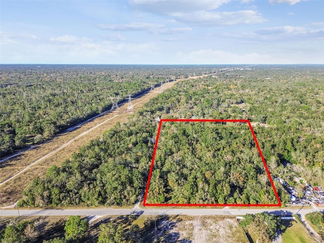 15577 Little Ranch Rd, Spring Hill, FL 34610 - aerial overview of property's location featuring a heavily wooded area and property boundaries highlighted