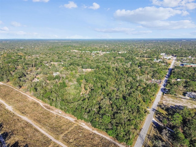 15577 Little Ranch Rd, Spring Hill, FL 34610 - aerial overview of property's location featuring a forest