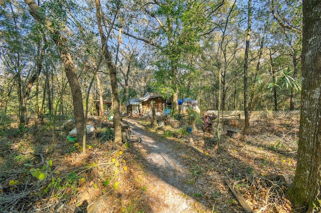 15577 Little Ranch Rd, Spring Hill, FL 34610 - view of yard featuring a wooded view